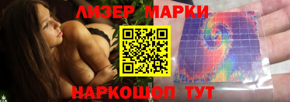 ссылка на мегу tor  Лсд 25 экстази ecstasy  Ачхой-Мартан  Лсд 25 экстази кислота 