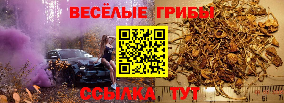 Галлюциногенные грибы прущие грибы  Вход с VPN  Ачхой-Мартан 