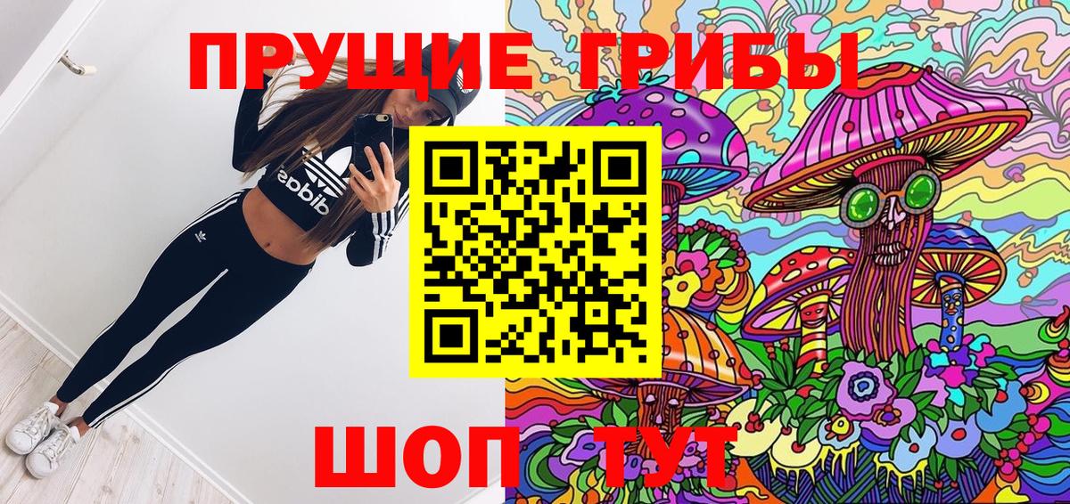 Галлюциногенные грибы Psilocybe Ачхой-Мартан