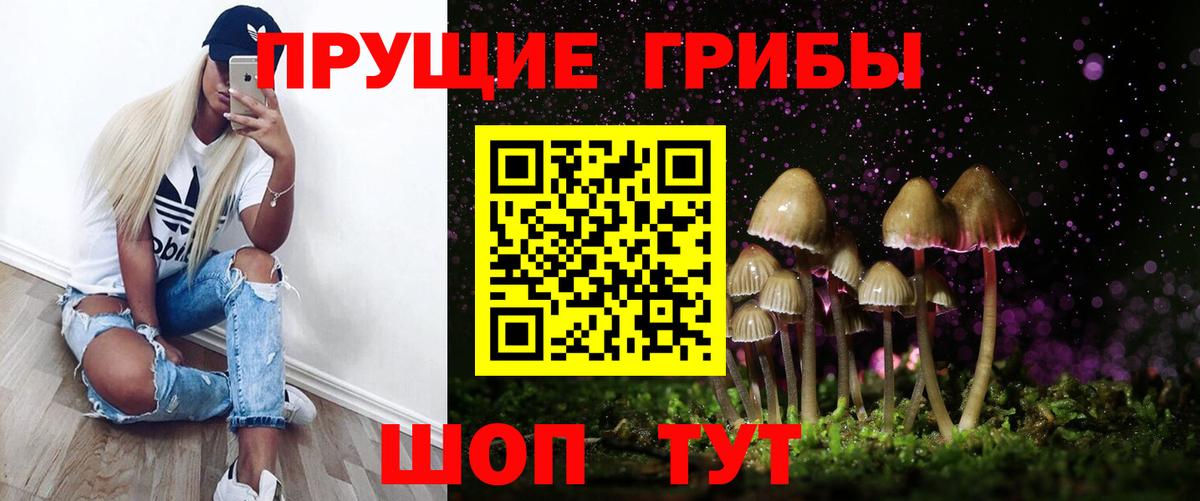 Галлюциногенные грибы Psilocybe  Псилоцибиновые грибы мицелий  Ачхой-Мартан 