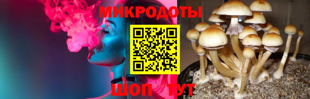 Меф Ачхой-Мартан