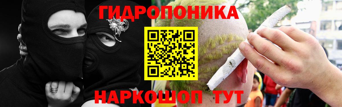 Ачхой-Мартан  Бошки марихуана AK-47  Вход с VPN  Бошки марихуана White Widow  Конопля Ganja 
